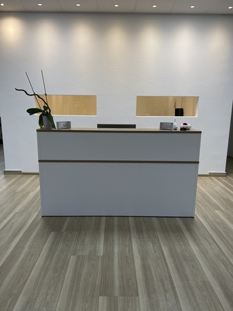 Moderner Empfangstresen mit Holzdekor, Pflanze und heller Beleuchtung in Büroeinrichtung.